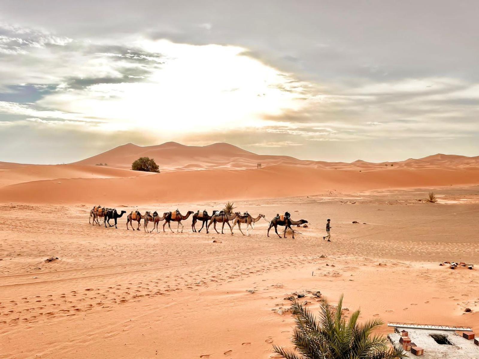Auberge Ksar Merzouga Extérieur photo